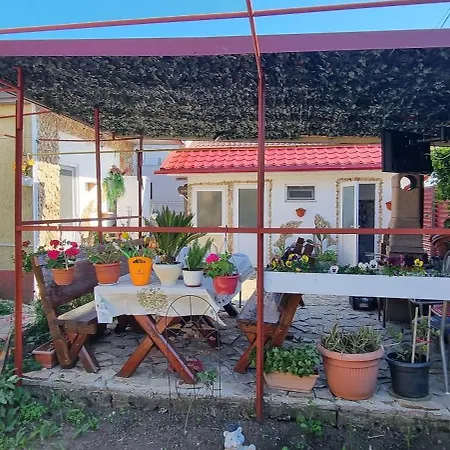 Casa de hóspedes Casa Stefan Douăzeci şi Trei August