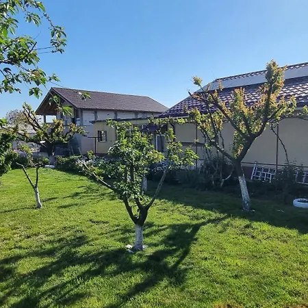 Casa de hóspedes Casa Stefan Douăzeci şi Trei August